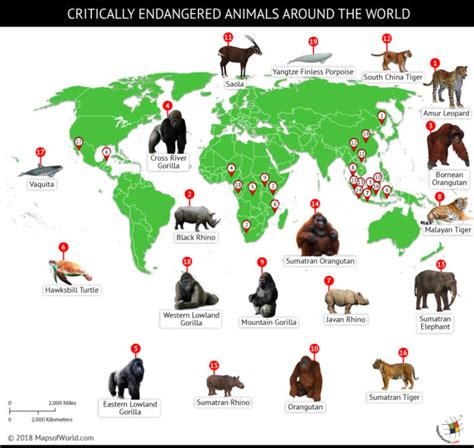 A World Of Endangered Animals 2025 𝚆𝚊𝚝𝚌𝚑 On New Platforms
