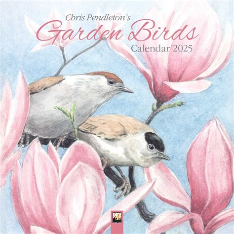 Bird 2025 full film