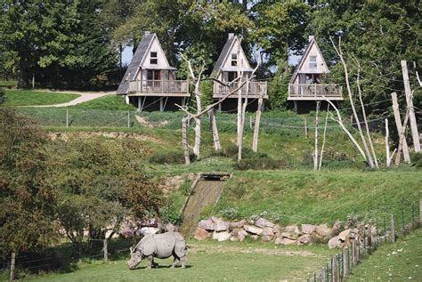 Une nuit au zoo